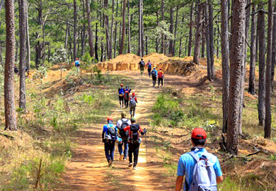 Lab Nature Excursion 2024 – Emek HaHula