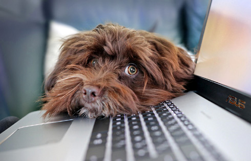 Image for 2024 Beyond IID in Information Theory (BIID 2024)